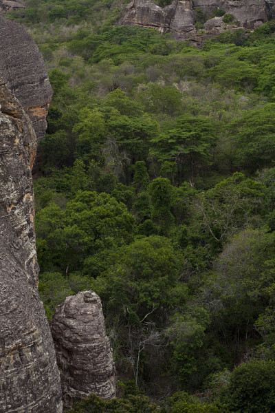 Serra da Capivara景观