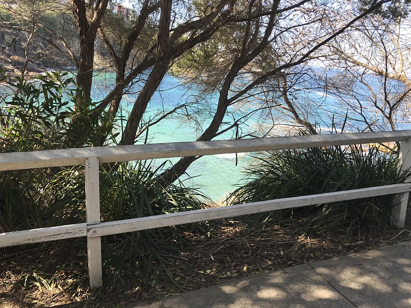 Coogee到Bondi海滩海岸散步