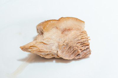 白底煮火腿、猪肉、大腿放在盘子里。关闭了。有选择性的重点。
