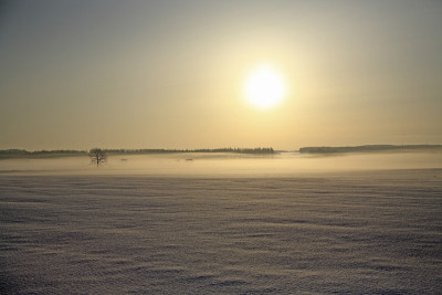 太阳雪