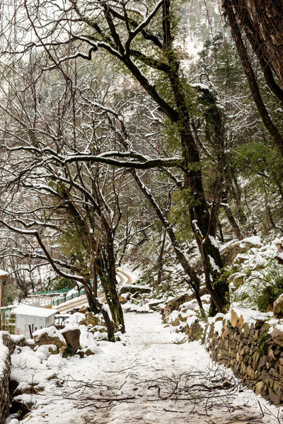 雪山覆盖的道路-雄伟的冬季景观在喜马拉雅山
