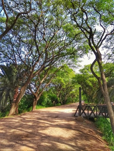Costa Nanera Sur生态保护区，布宜诺斯艾利斯，阿根廷