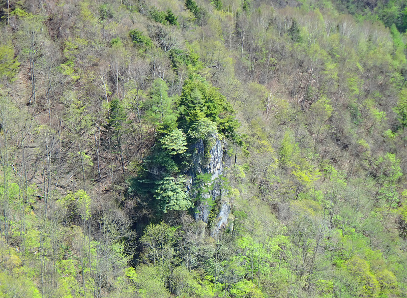 日本山景