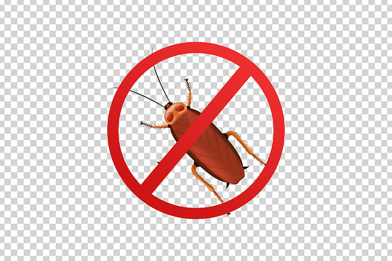 Vector realistic isolated cockroach sign for templ