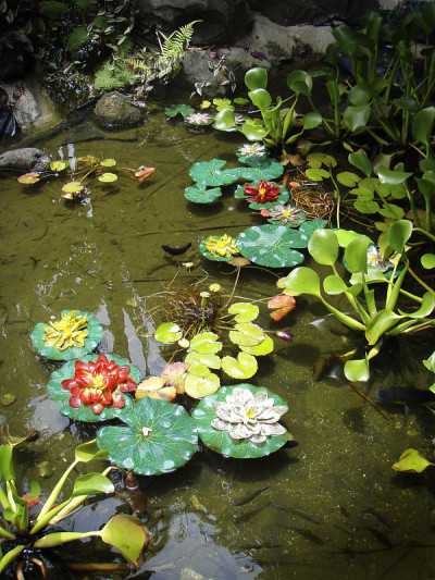 莲花池