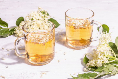 接骨木花茶