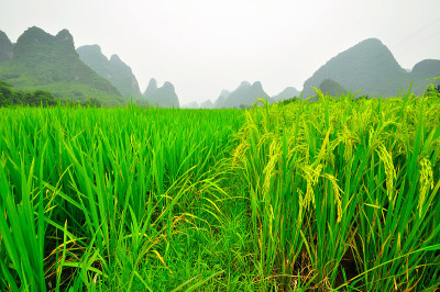 桂林漓江是阳朔喀斯特山地景观