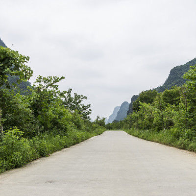 森林的小路