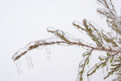 冻雨