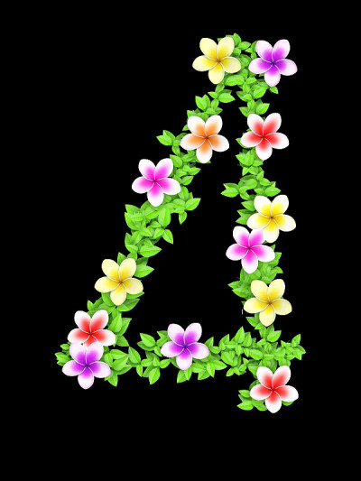 花常春藤字母表