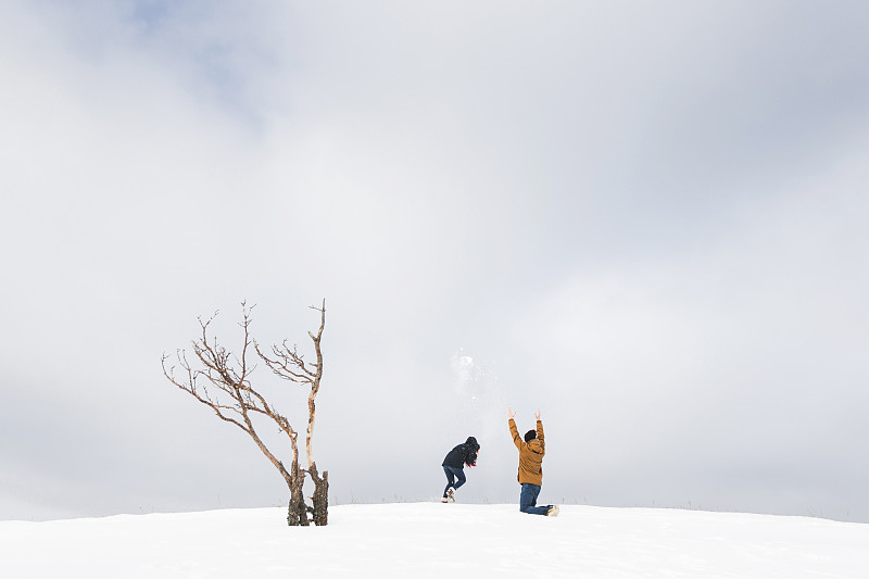 游客夫妇在雪中嬉戏，投掷雪花。山中有寂寞的树