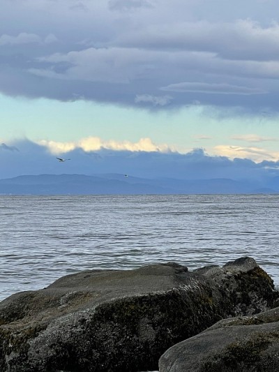 日落阳光海岸