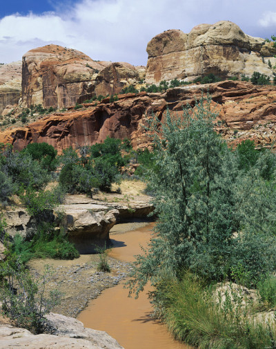 诚然Valley)