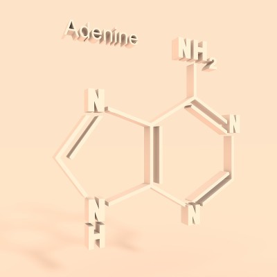 腺嘌呤- DNA和RNA氮碱基的化学结构式