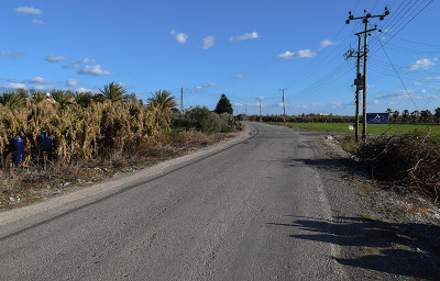 塞浦路斯岛。路边