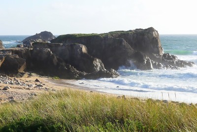 狂野海岸上的风浪