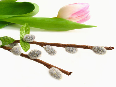 复活节