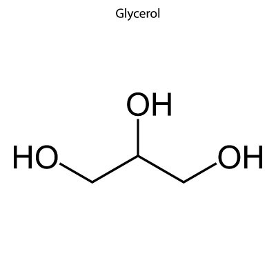 化学分子的骨架式。