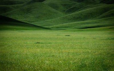 Eternald草原。美丽的背景。