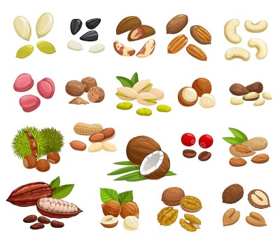 坚果、豆类和种子类的超级食物