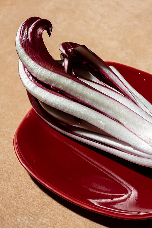 生物Radicchio