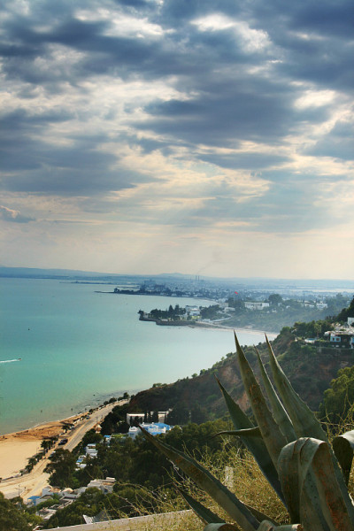 Sidi Bou Said，突尼斯