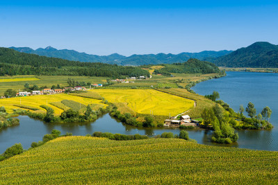 秋天的乡村和田野