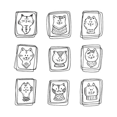 宠物。小猫脸图标。在框架中手绘的猫的涂鸦肖像-向量集