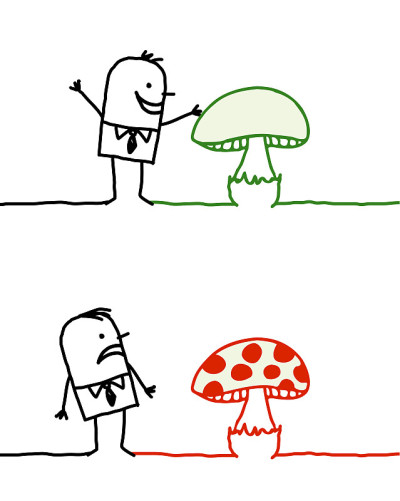 蘑菇——好或坏