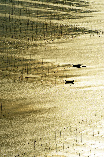 海藻农场
