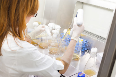 在实验室里研究的生命科学家。