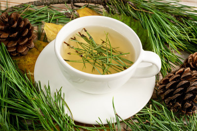 松针茶，冬季健康维生素C饮料