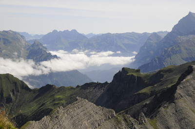 山