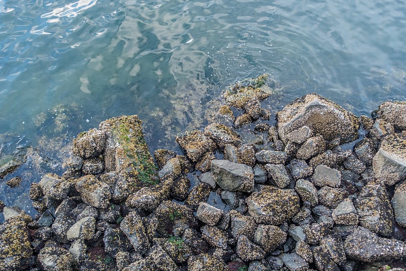 岩石海岸线