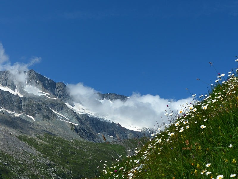 山，云彩和鲜花，爬向Glière避难所上方的香槟-恩-瓦努瓦，萨瓦伊