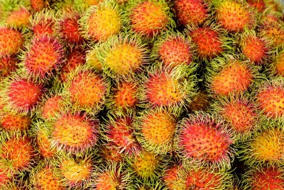 Rambutants水果