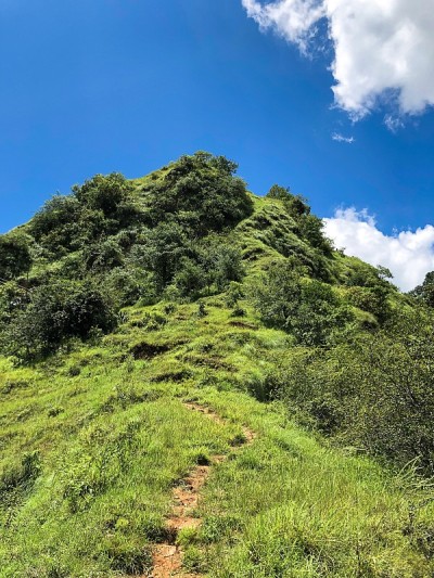 山