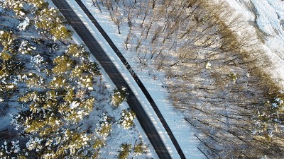 下雪的森林道路