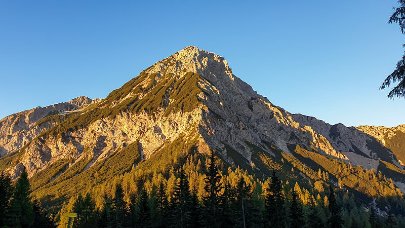 米塔斯格尔-第一束阳光到达米塔斯格尔山顶在奥地利阿尔卑斯山。这座高山上长满了茂密的森林