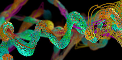 氨基酸链或生物分子称为蛋白质- 3d插图