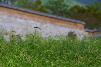 全泉寺的锦山寺周围的景色。