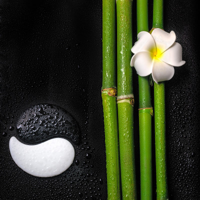 美丽的温泉静物象征阴阳、鸡蛋花