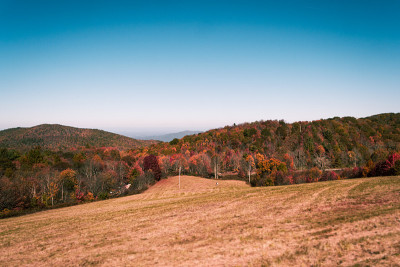 Field on a Bald Mountain