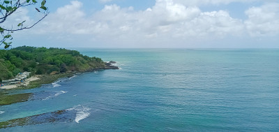 海滩和珊瑚
