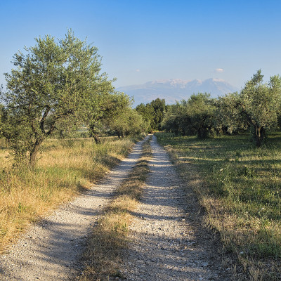 Penne (Abruzzi)附近的夏季景观