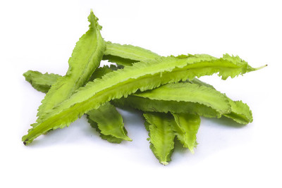 有翼的豆