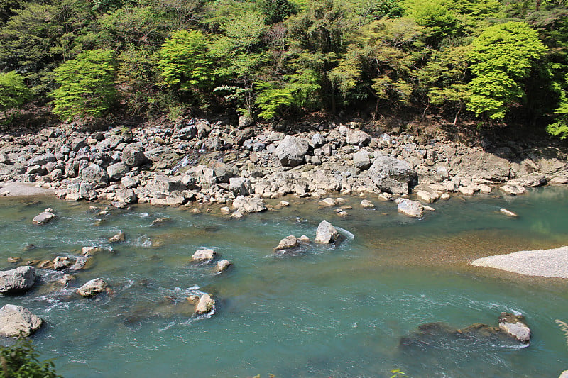 日本京都岚山的桂河