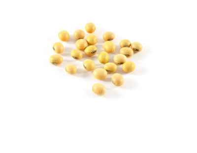 我是bean