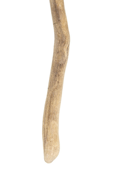 部分浮木孤立在白色