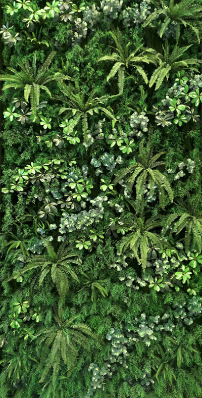 垂直花园与热带绿叶形成对比